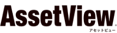 AssetView